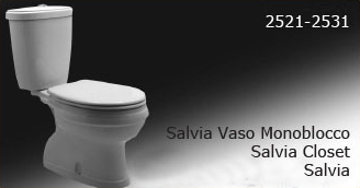 Salvia 2521
